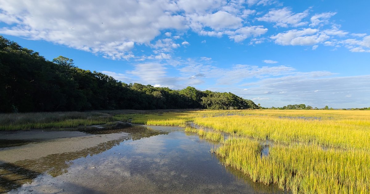 Salt marsh and coastal water near Hilton Head Island, South Carolina